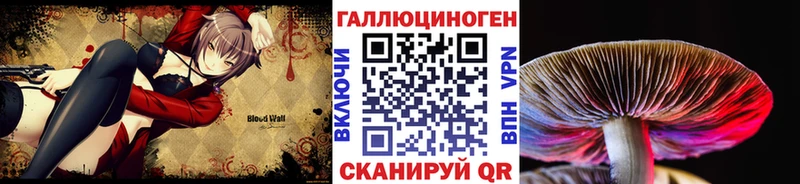 купить наркоту  Йошкар-Ола  Галлюциногенные грибы GOLDEN TEACHER 